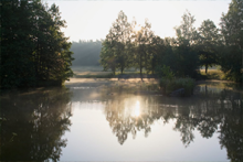 Naturpark Blockheide