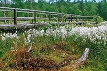 Naturpark Heidenreichstein